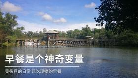 救援小棕兔