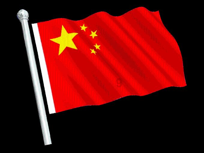 解救金刚鹦鹉