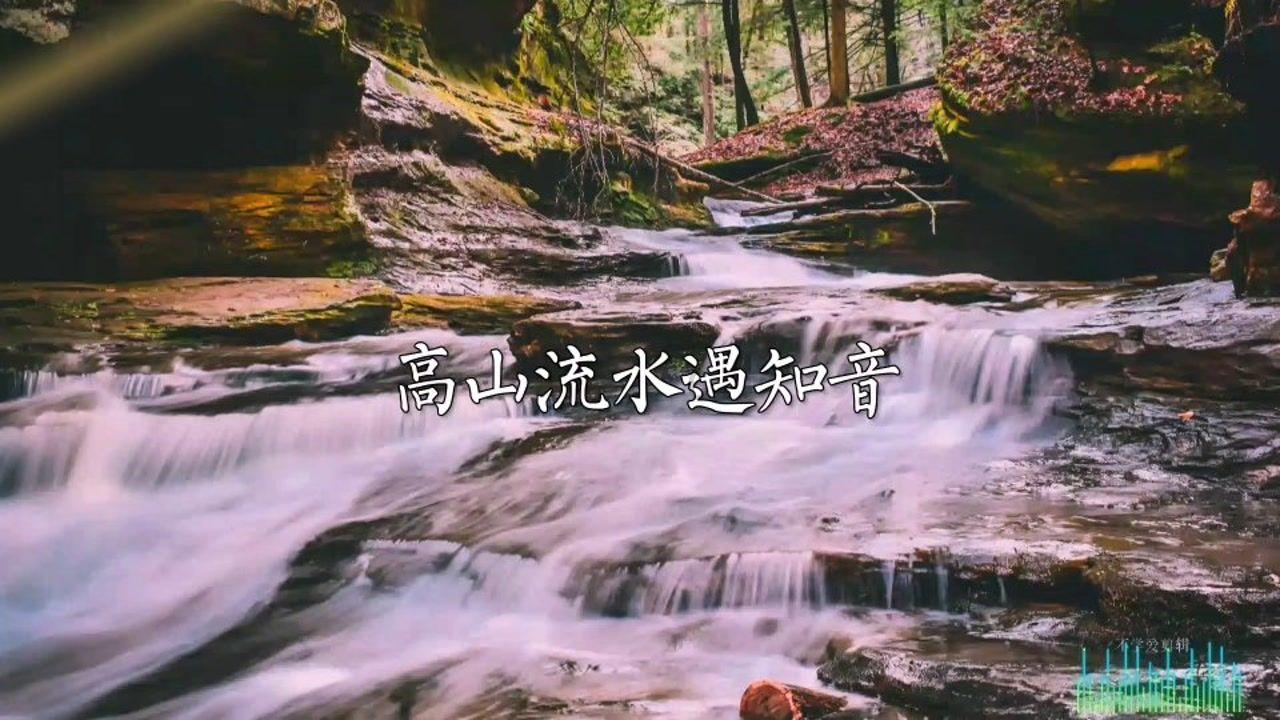 失踪的书籍